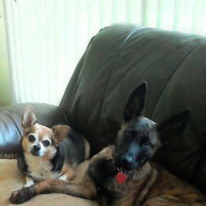 Meet your Posher, Pat